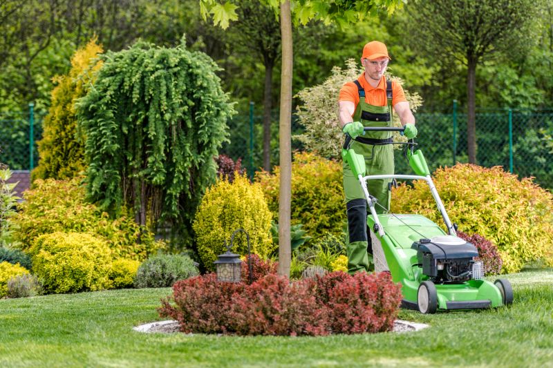 Yard Maintenance