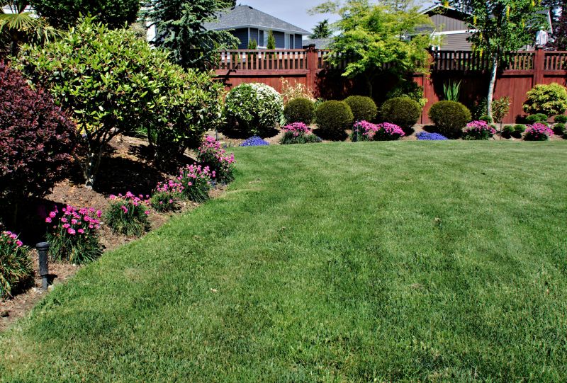 Yard Maintenance