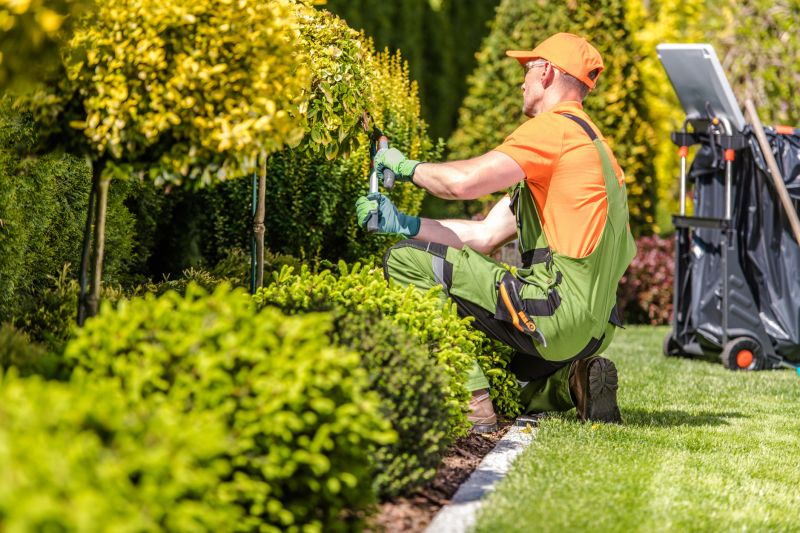 Yard Maintenance Cost Guide — Cost of Yard Maintenance