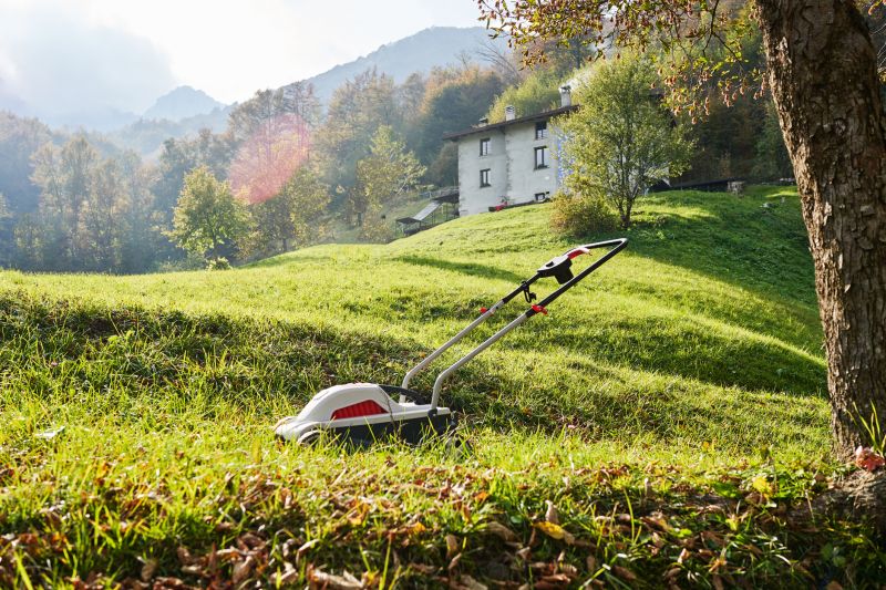 Yard Maintenance Cost Guide — Cost of Yard Maintenance