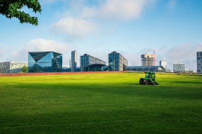 Yard Maintenance Cost Guide — Cost of Yard Maintenance