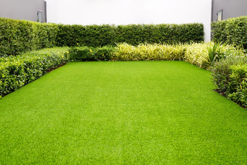 Healthy Lawn
