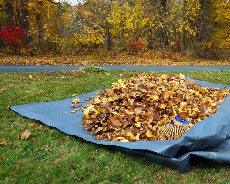 Fall Cleanup